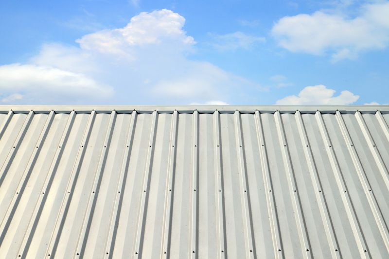 Aluminum Roofing Repair in Douglas County, CO