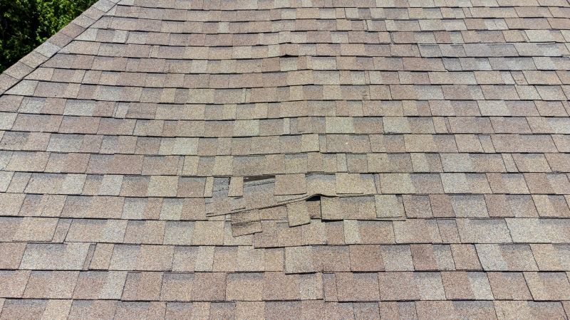 Asphalt Roof Inspection in Larkspur, CO