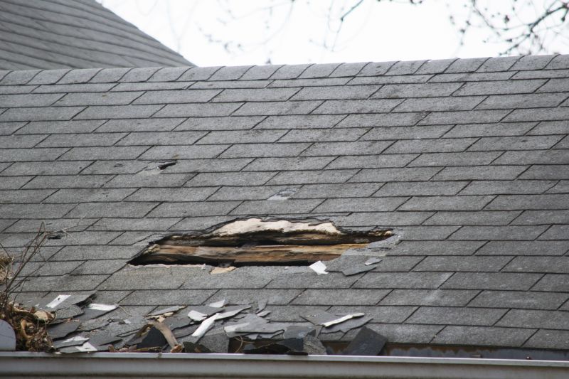 Asphalt Roof Leak Repair in Larkspur, CO