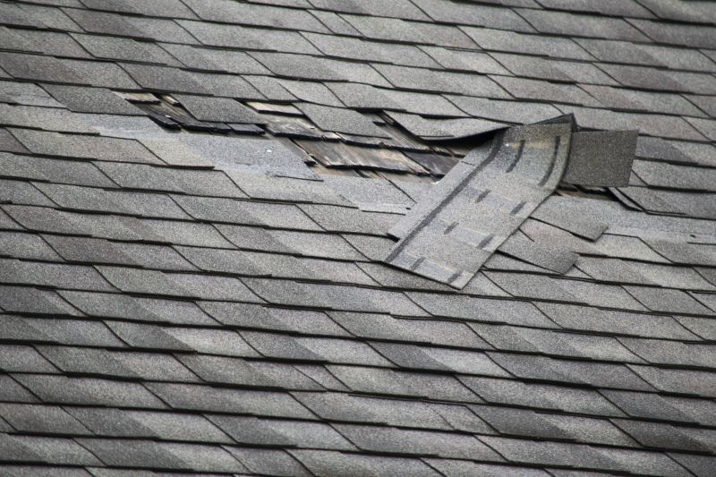 Asphalt Roof Repair in Littleton, CO