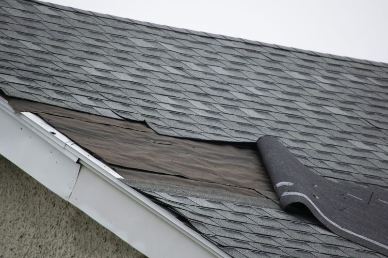 Asphalt Shingles Repair in Conifer, CO