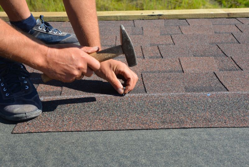 Asphalt Shingles Repair in Douglas County, CO