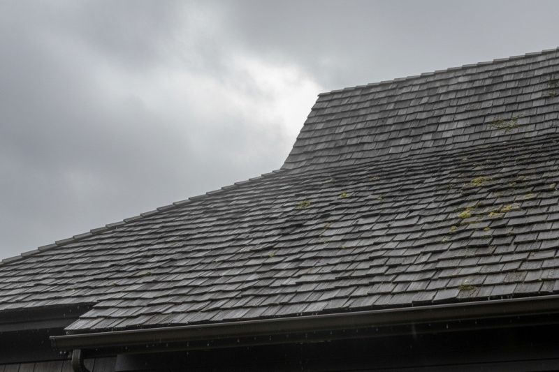 Cedar Roof Replacement in Douglas County, CO