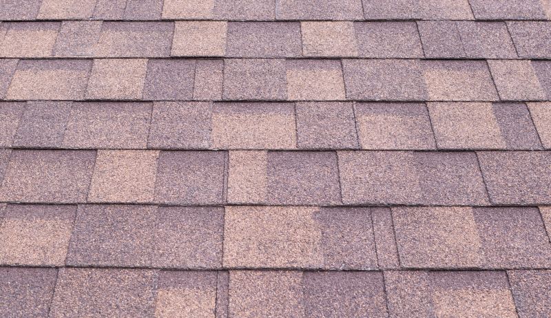 Composite Shingle Repair in Douglas County, CO