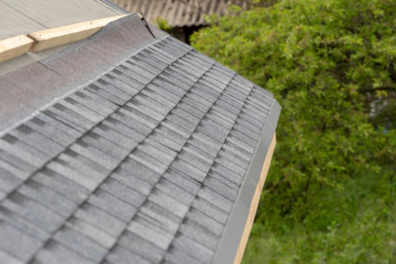 Damaged Roof Repair in Denver, CO