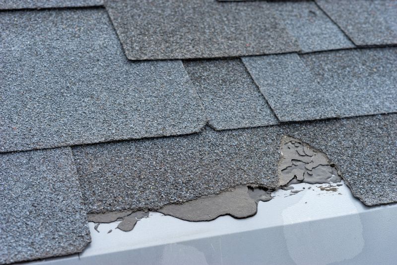 Damaged Roof Repair in Indian Hills, CO