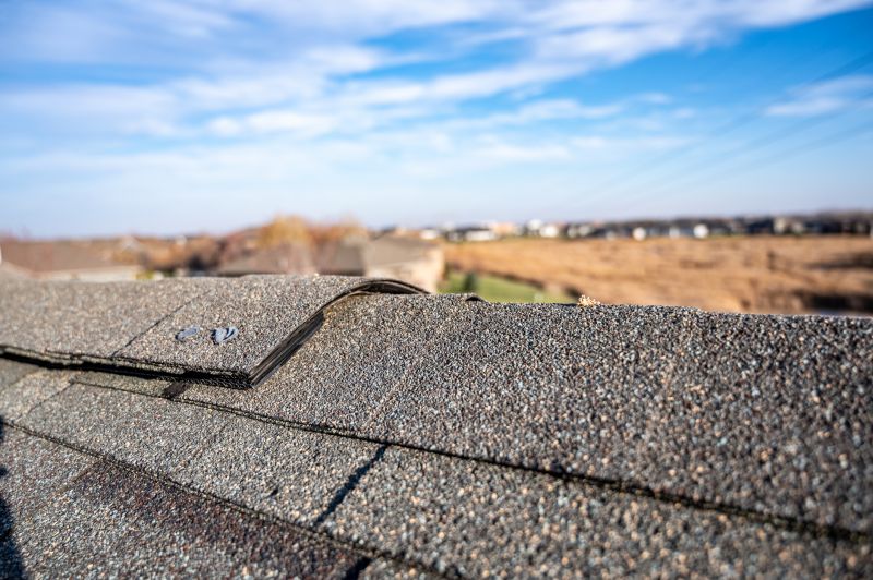 Damaged Roof Repair in Littleton, CO