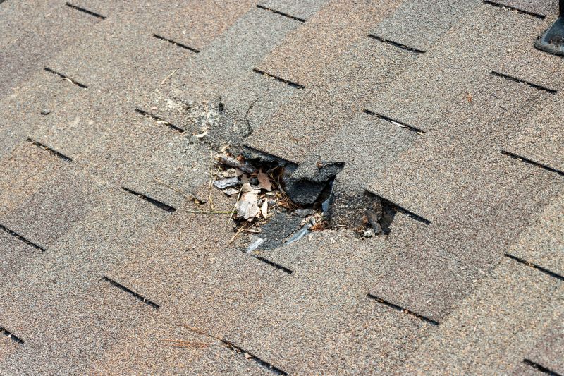 Damaged Roof Replacement in Wheat Ridge, CO