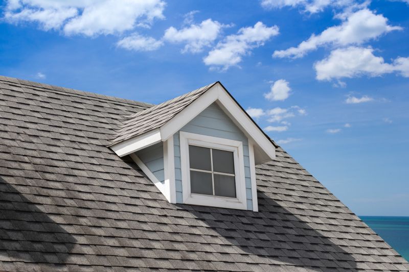 Dormer Leak Repair in Douglas County, CO