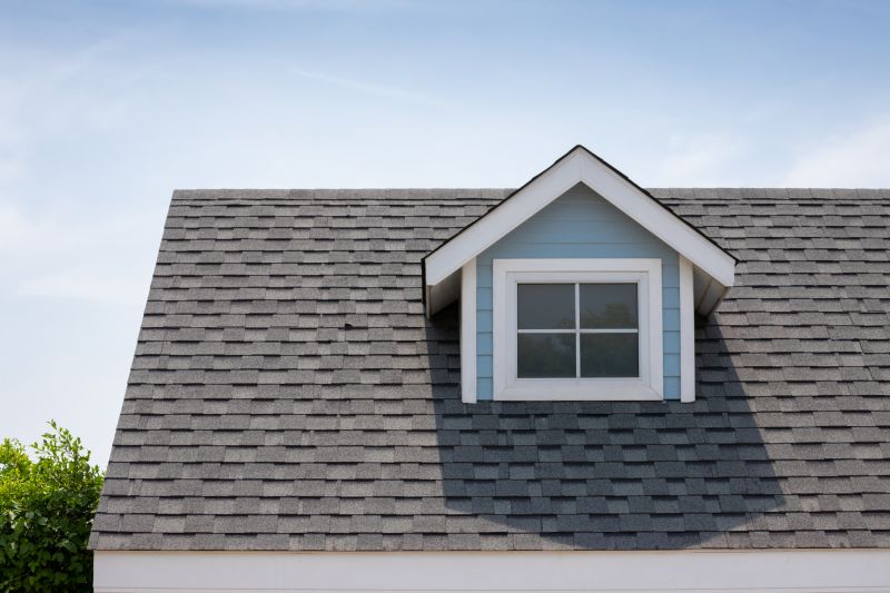 Dormer Leak Repair in Douglas County, CO