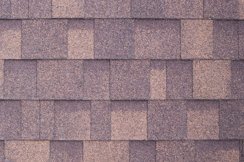 Fiberglass Shingles Repair in Douglas County, CO