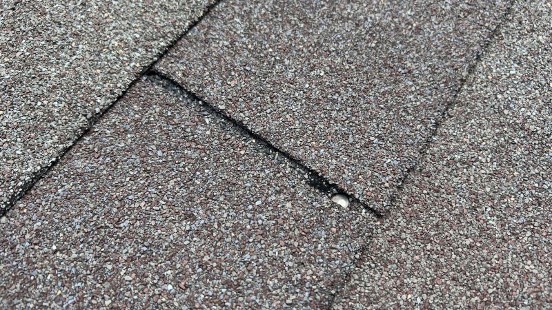 Fiberglass Shingles Repair in Douglas County, CO