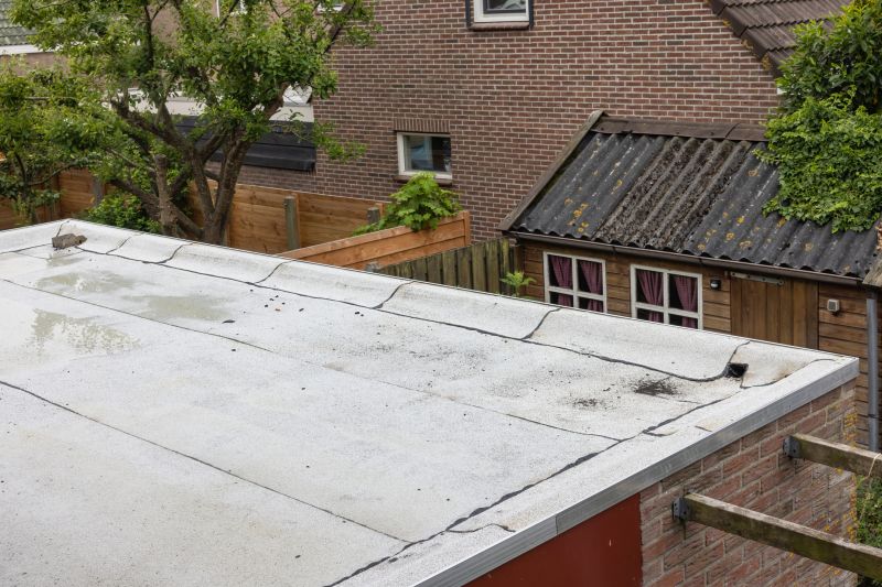 Flat Roof Leak Repair in Douglas County, CO