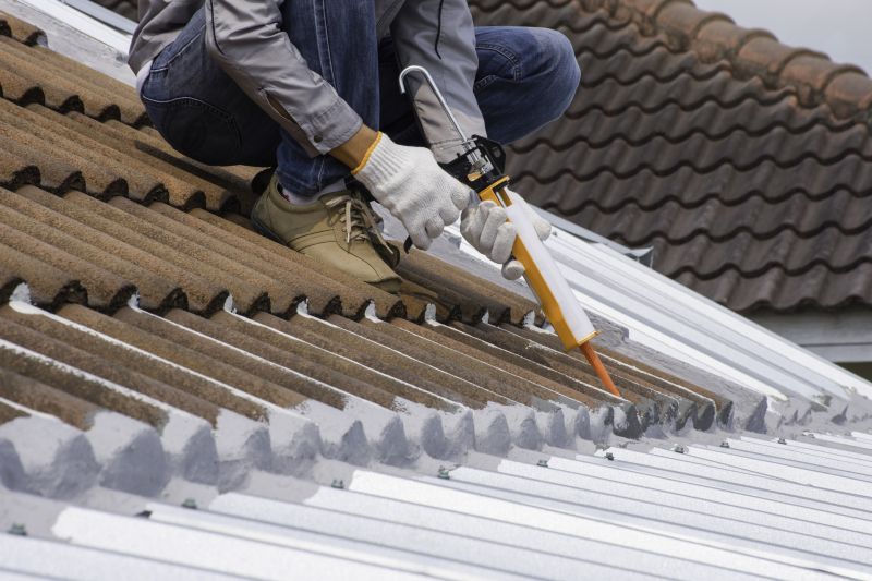 Flat Roof Sealing in Douglas County, CO