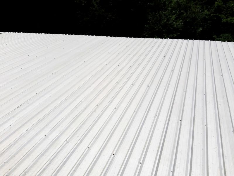 Galvanized Roof Repair in Douglas County, CO