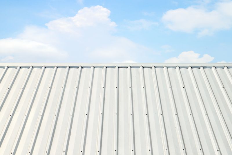 Metal Roof Coating Service in Douglas County, CO