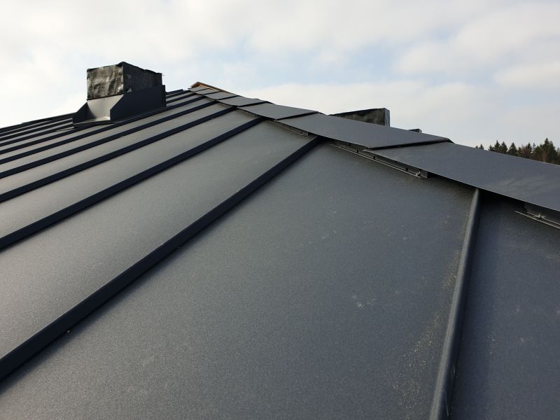 Metal Roof Coating Service in Douglas County, CO