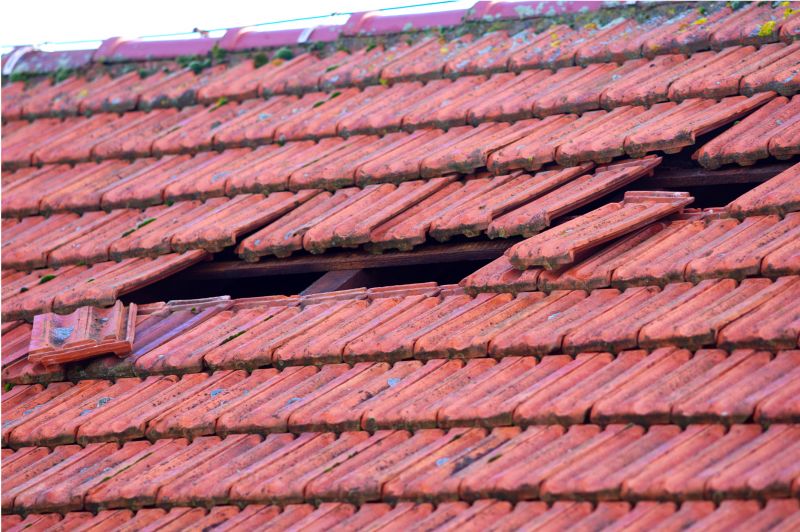 Roof Damage Inspection in Denver, CO