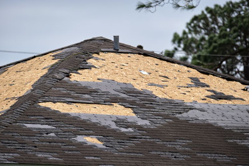 Roof Damage Restoration in Douglas County, CO