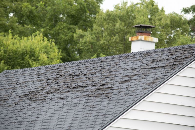 Roof Hail Damage Repair in Douglas County, CO