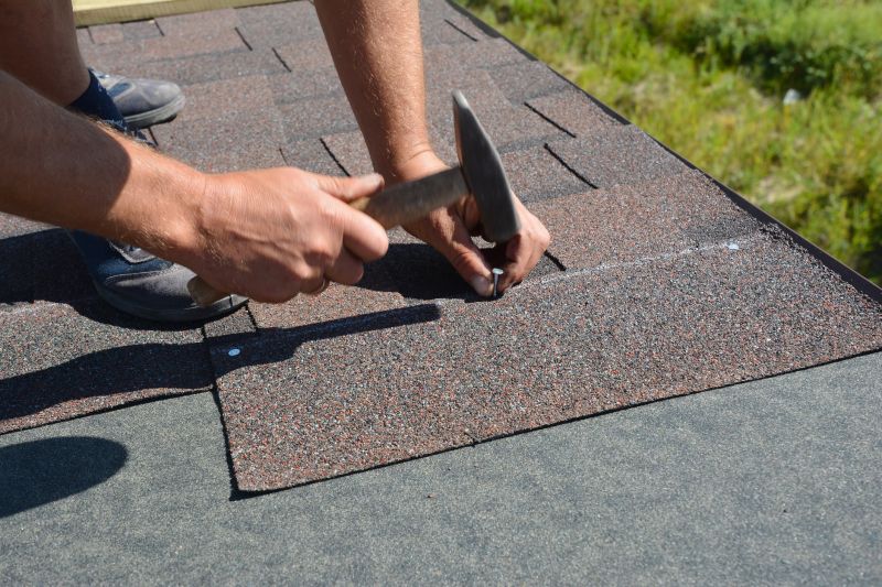 Roof Shingles Replacement in Sedalia, CO