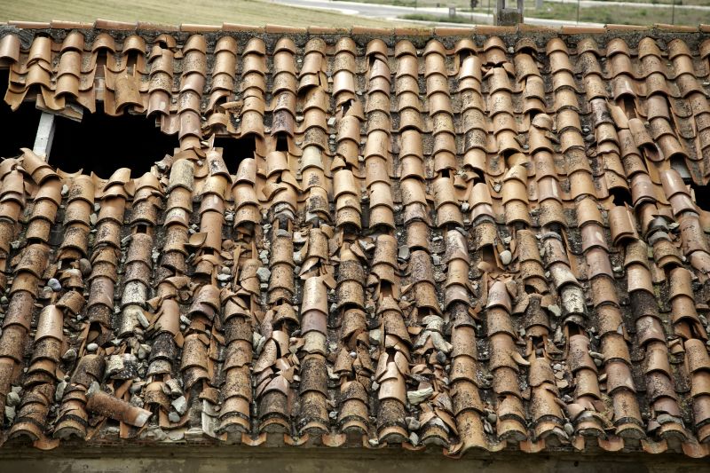 Roofing Evaluation in Castle Rock, CO
