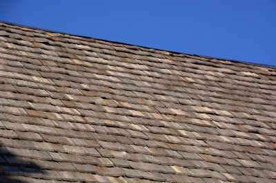 Shake Shingle Repair in Elbert County, CO