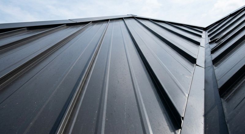 Standing Seam Roof Repair in Douglas County, CO