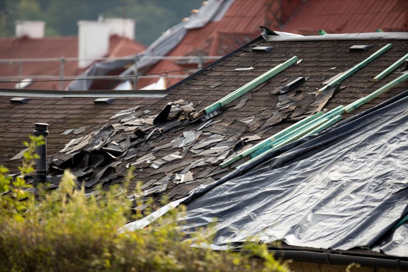 Storm Damage Roof Tarping in Douglas County, CO