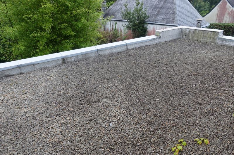 Tar And Gravel Roof Repair in Arapahoe County, CO