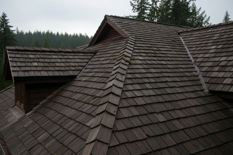 Wood Shake Roof Replacement in Englewood, CO
