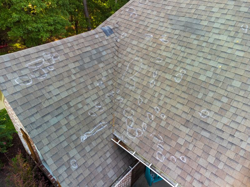 Asphalt Roof Inspection in Morrison, CO